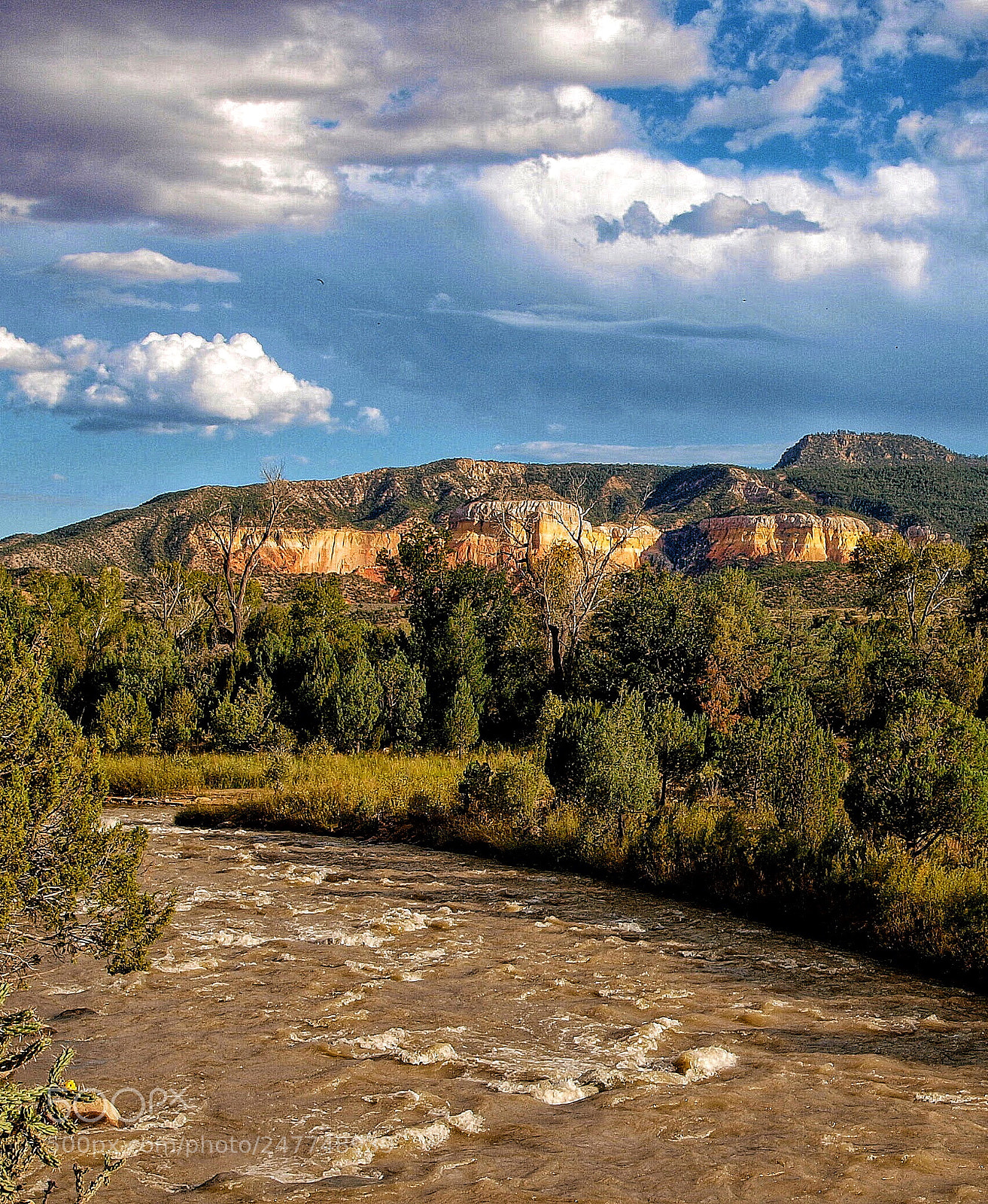 Olympus E-3 sample photo. Rio chama, new mexico photography