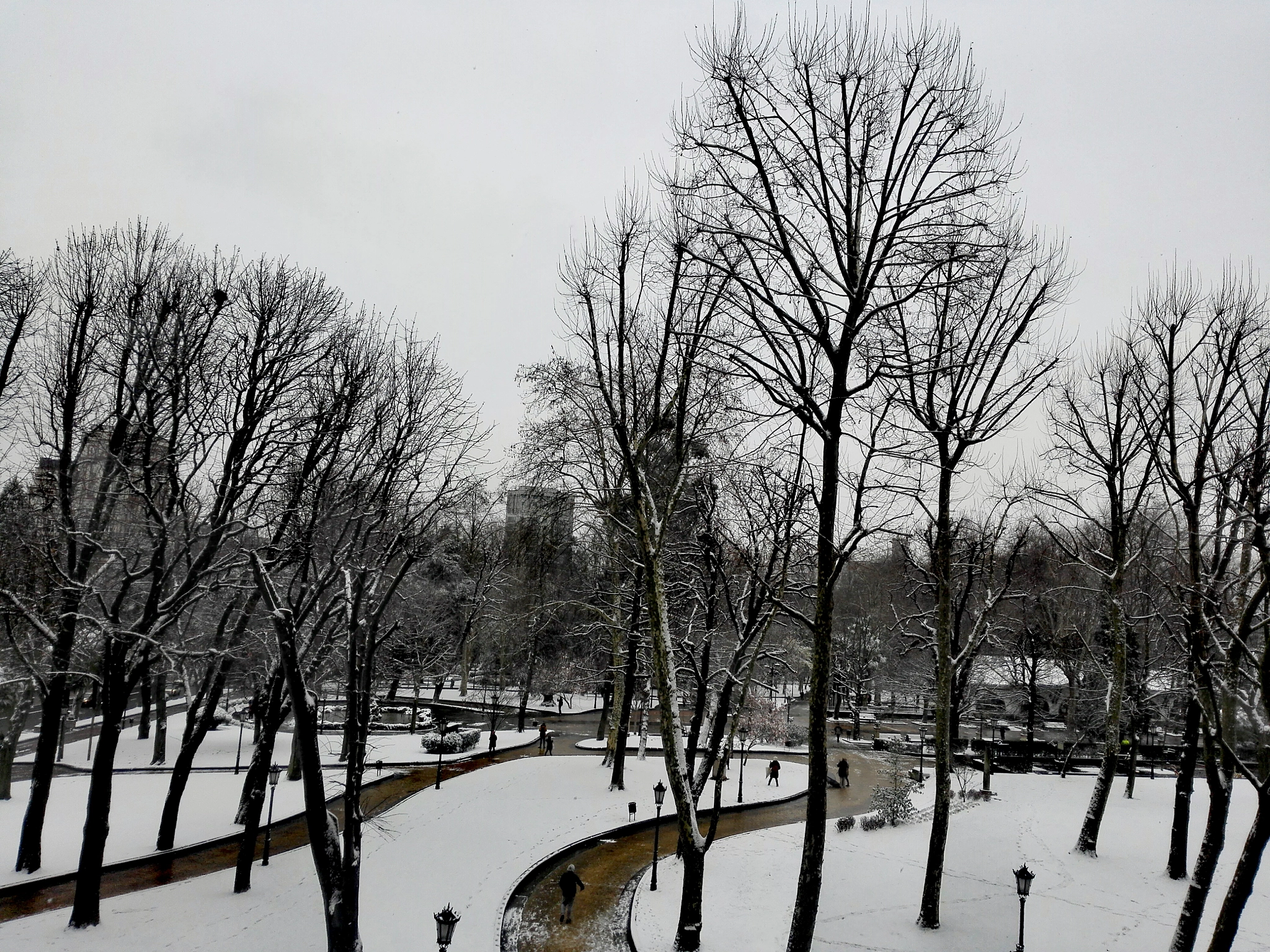 HUAWEI Mate 7 sample photo. Snow in the park photography