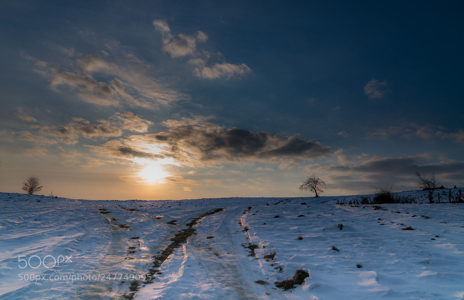 Sony a7R II sample photo. Winter at a crossroad photography