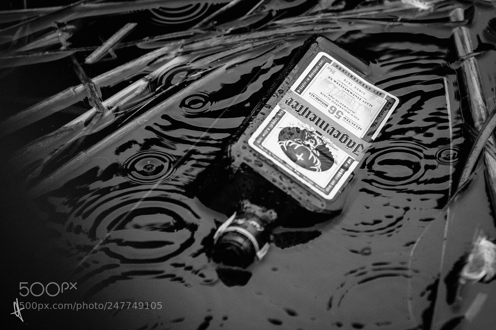 Canon EOS 7D Mark II sample photo. Untitled photography