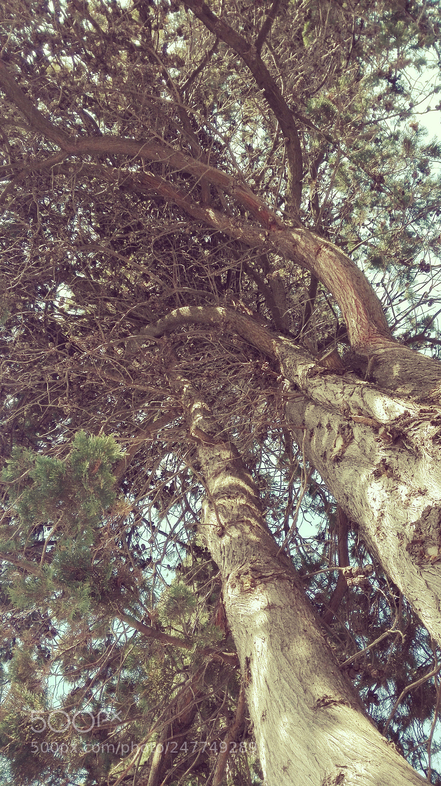 HUAWEI P8 Lite sample photo. High photography