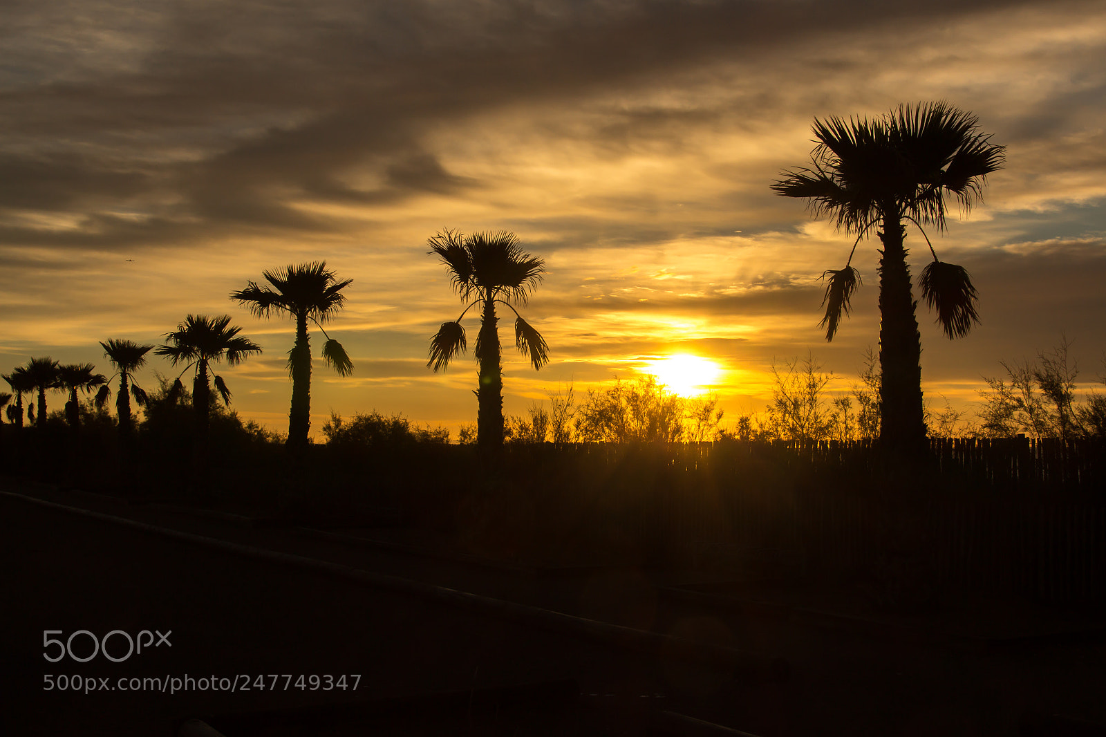 Canon EOS 650D (EOS Rebel T4i / EOS Kiss X6i) sample photo. Sunrise in holidays photography
