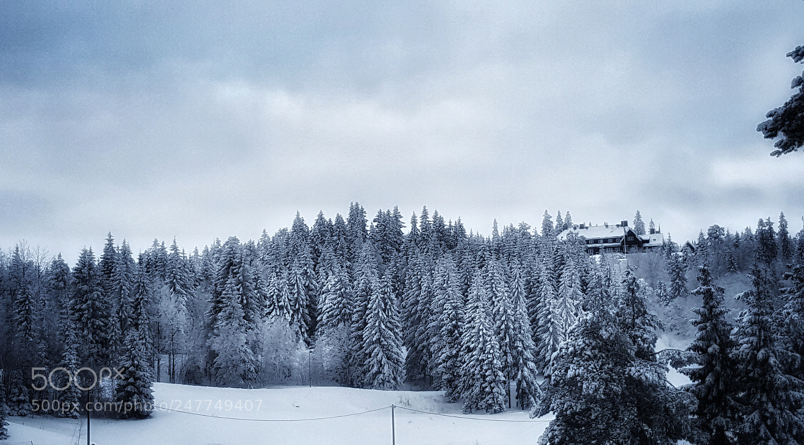 Samsung GALAXY S6 edge sample photo. Welcome in narnia photography