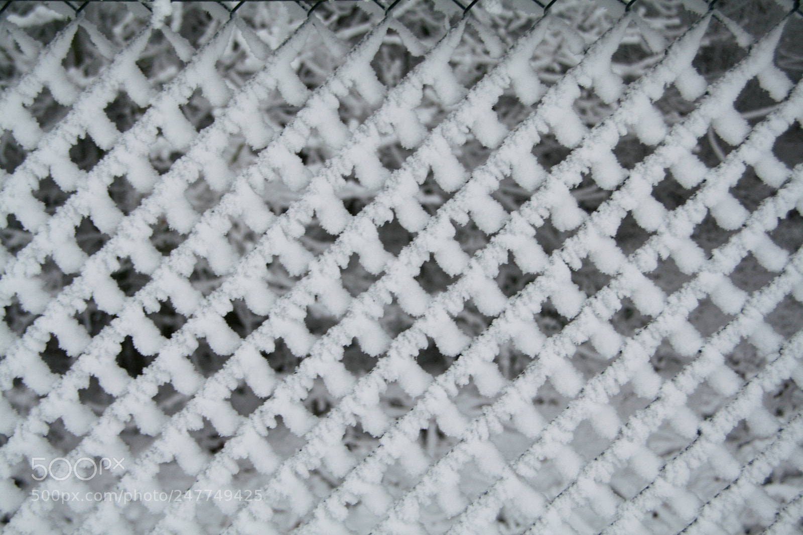 Canon EOS 350D (EOS Digital Rebel XT / EOS Kiss Digital N) sample photo. Snow covered fence photography