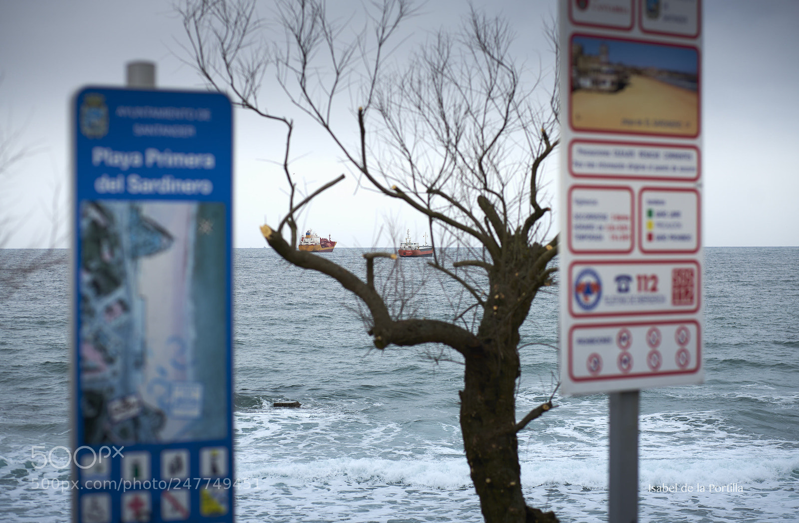 Sony a7R II sample photo. Ships behind the tamarind. photography