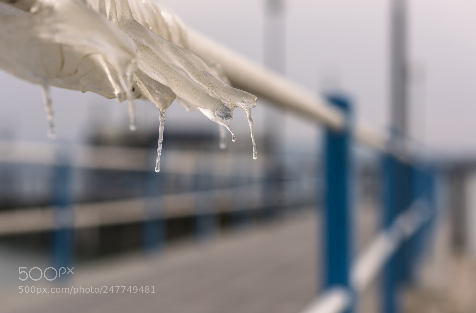 Nikon D810 sample photo. Ci che resta del photography