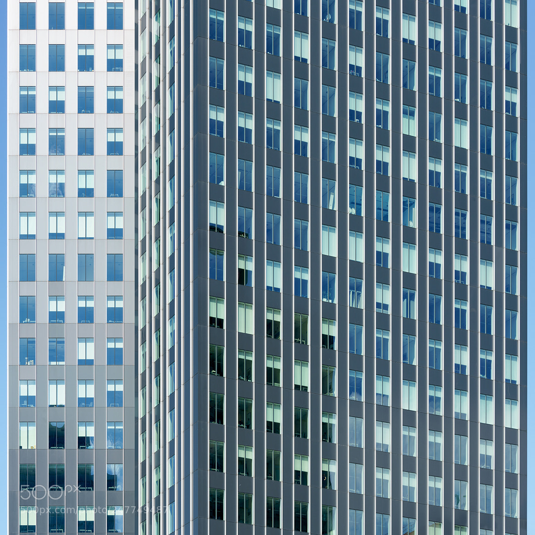 Sony a7R II sample photo. The gradient photography