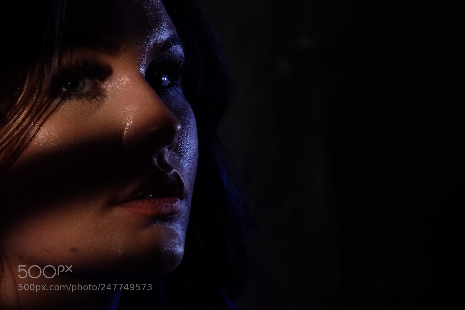 Fujifilm X-T2 sample photo. Untitled photography