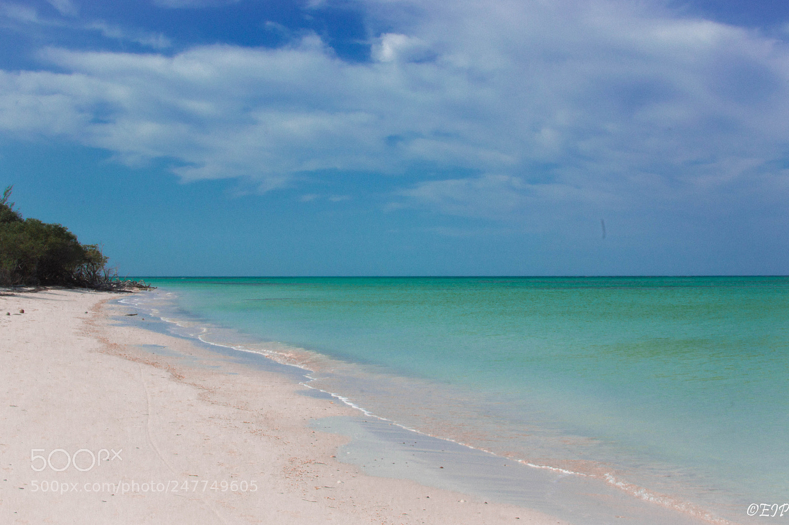 Nikon D3200 sample photo. Caribe photography