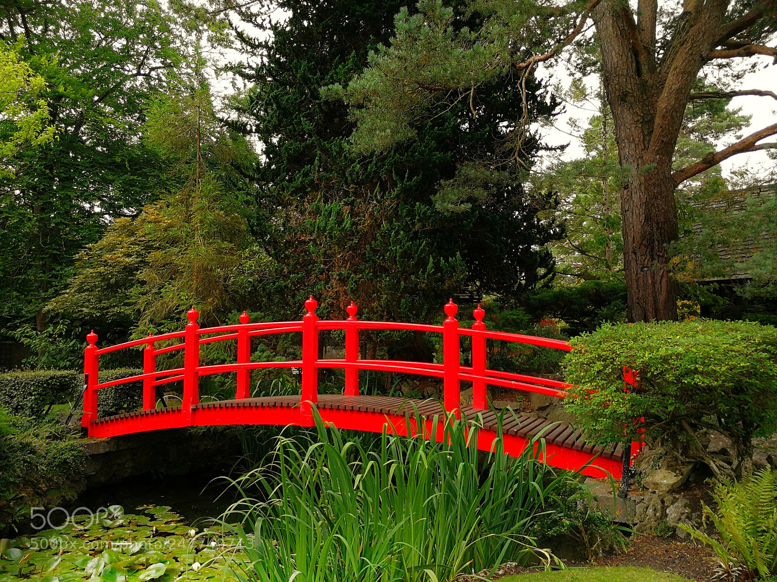 HUAWEI P10 sample photo. Ireland japanese gardens photography