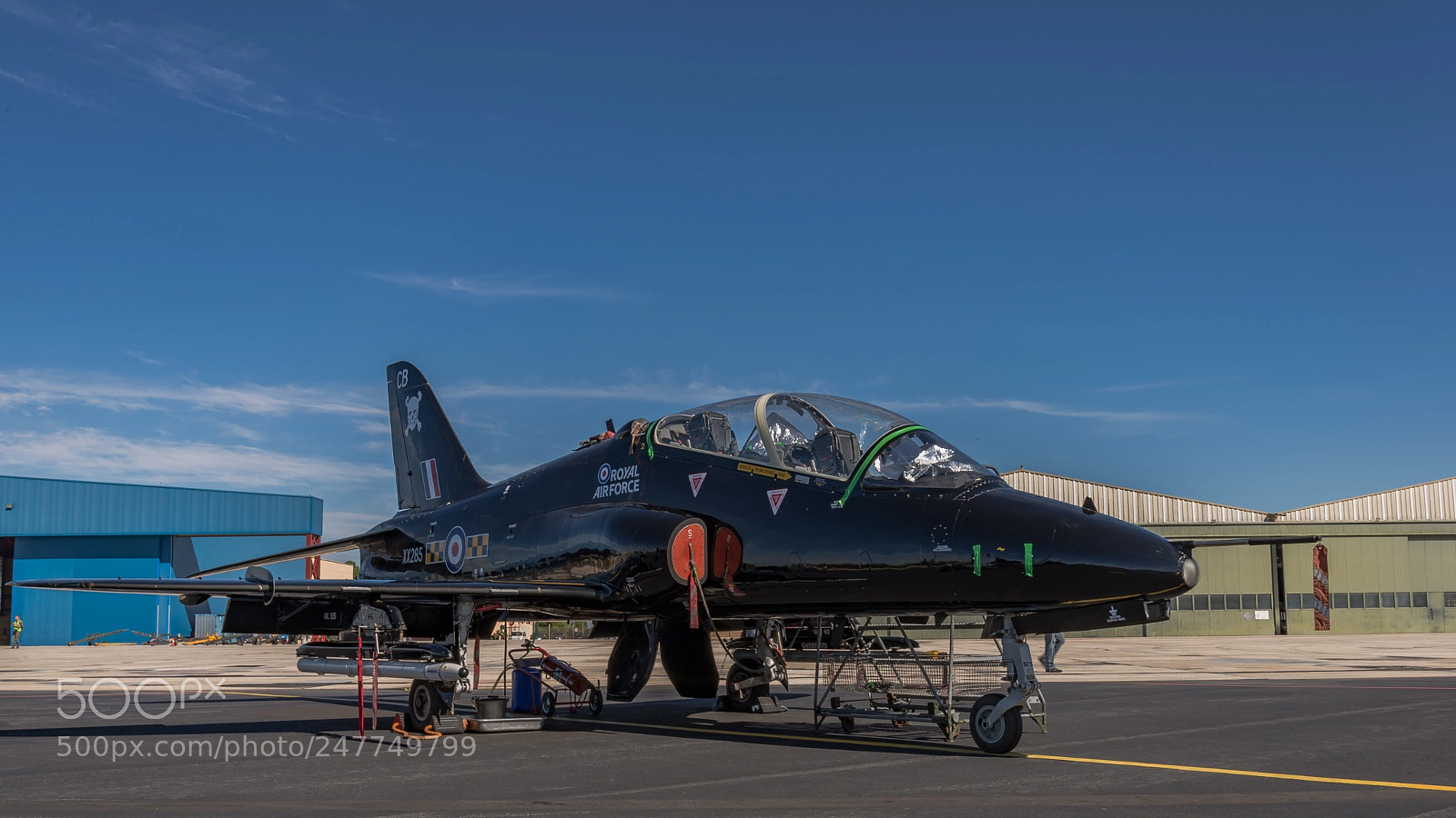 Nikon D600 sample photo. Hawk t1a photography