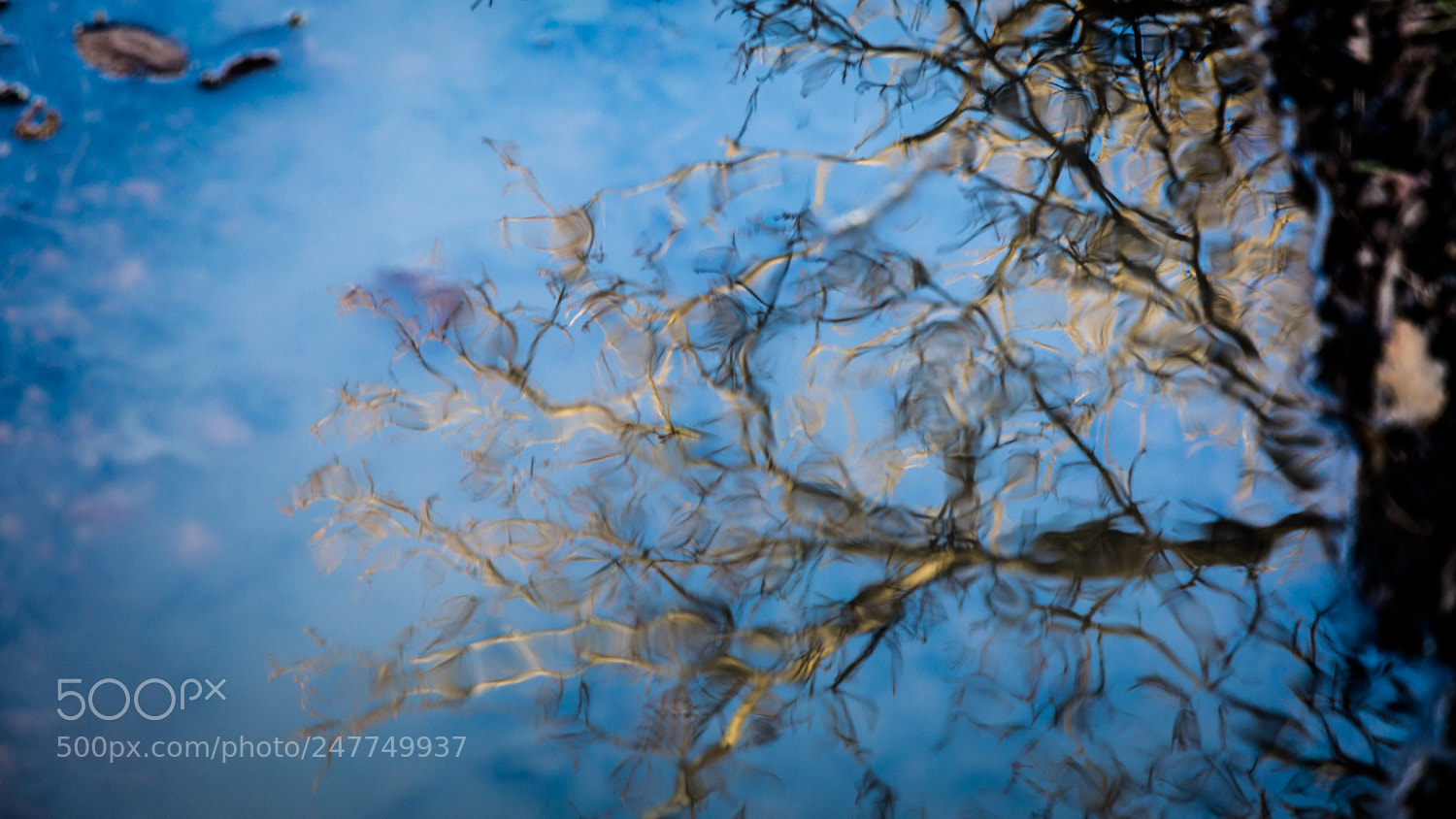 Nikon D3200 sample photo. Reflections photography