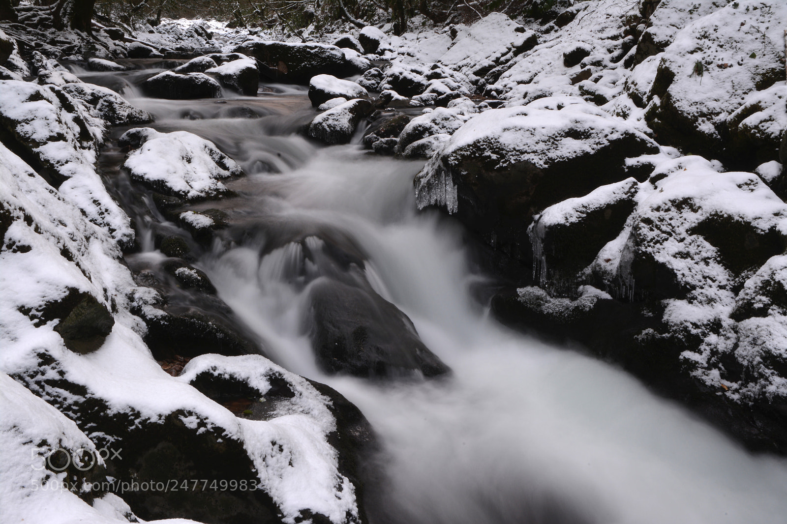 Nikon D7100 sample photo. Snow in the woods photography