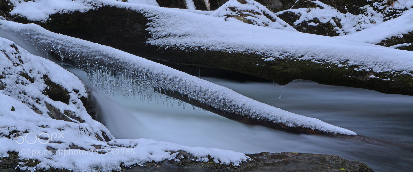 Nikon D7100 sample photo. Snow in the woods photography