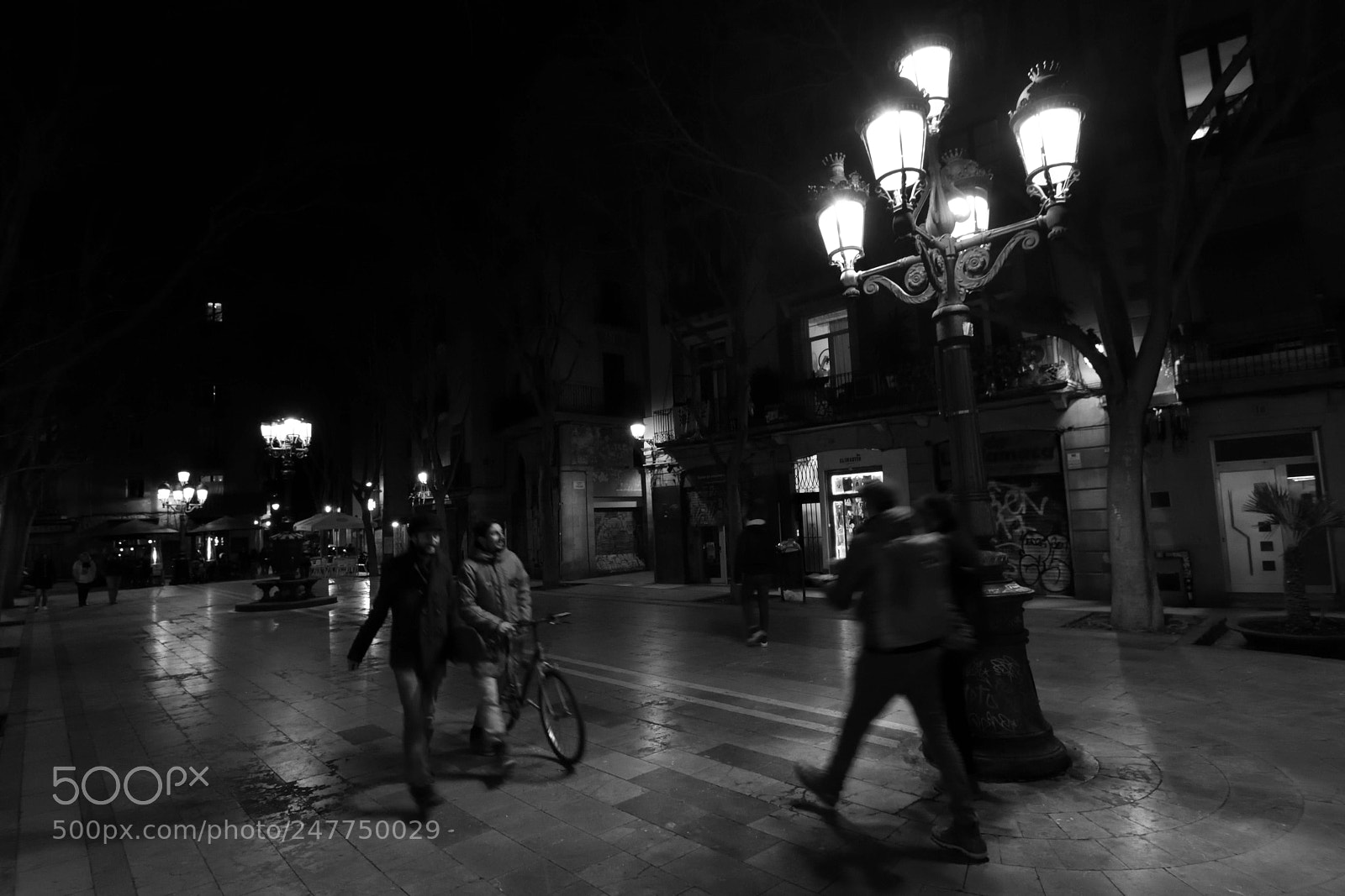 Nikon D7200 sample photo. Late for dinner photography