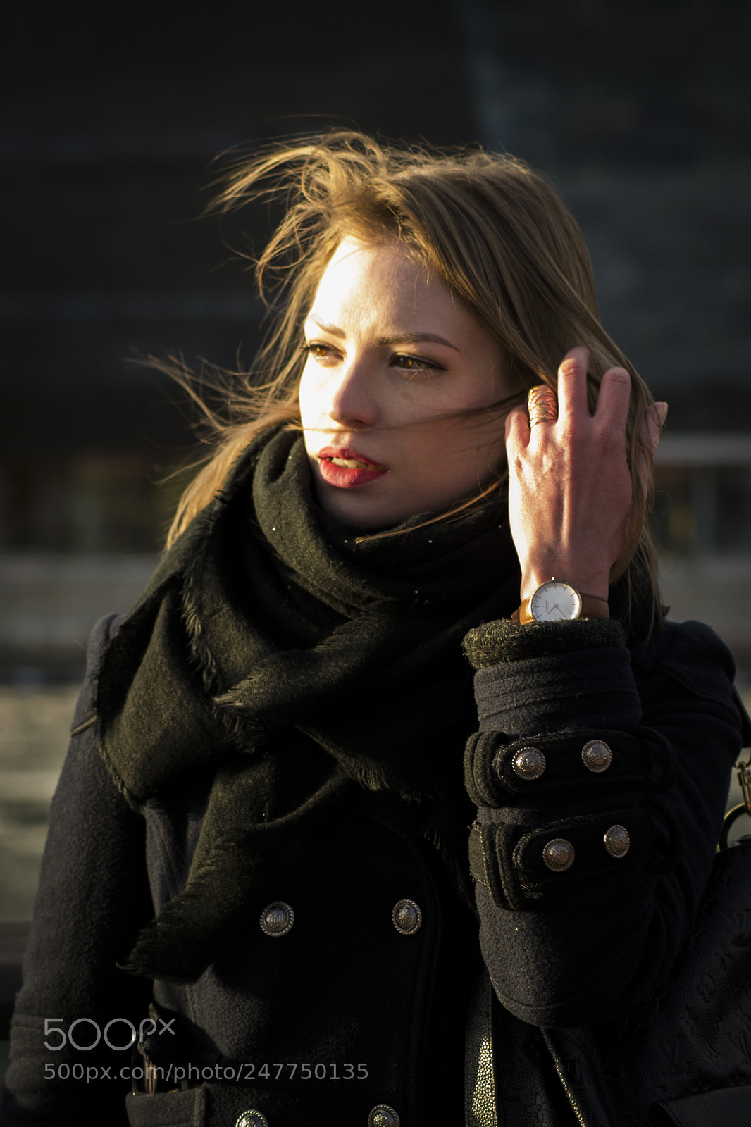 Nikon D3100 sample photo. Winter breeze photography