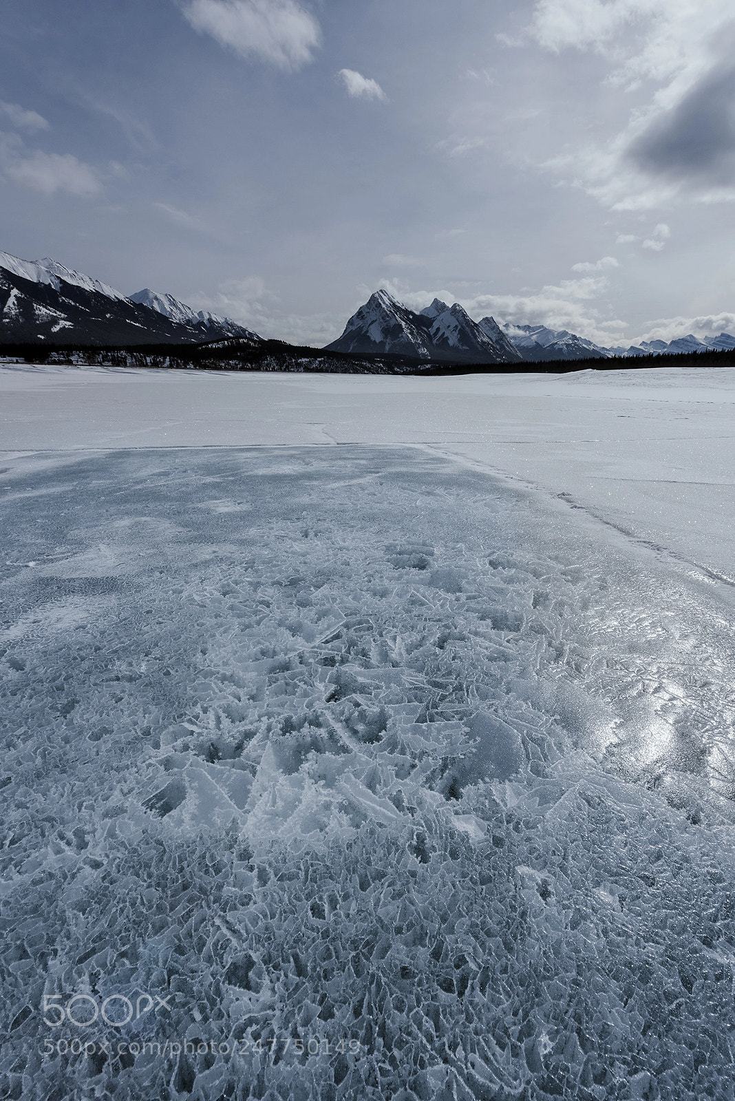 Nikon D810 sample photo. Fractals photography
