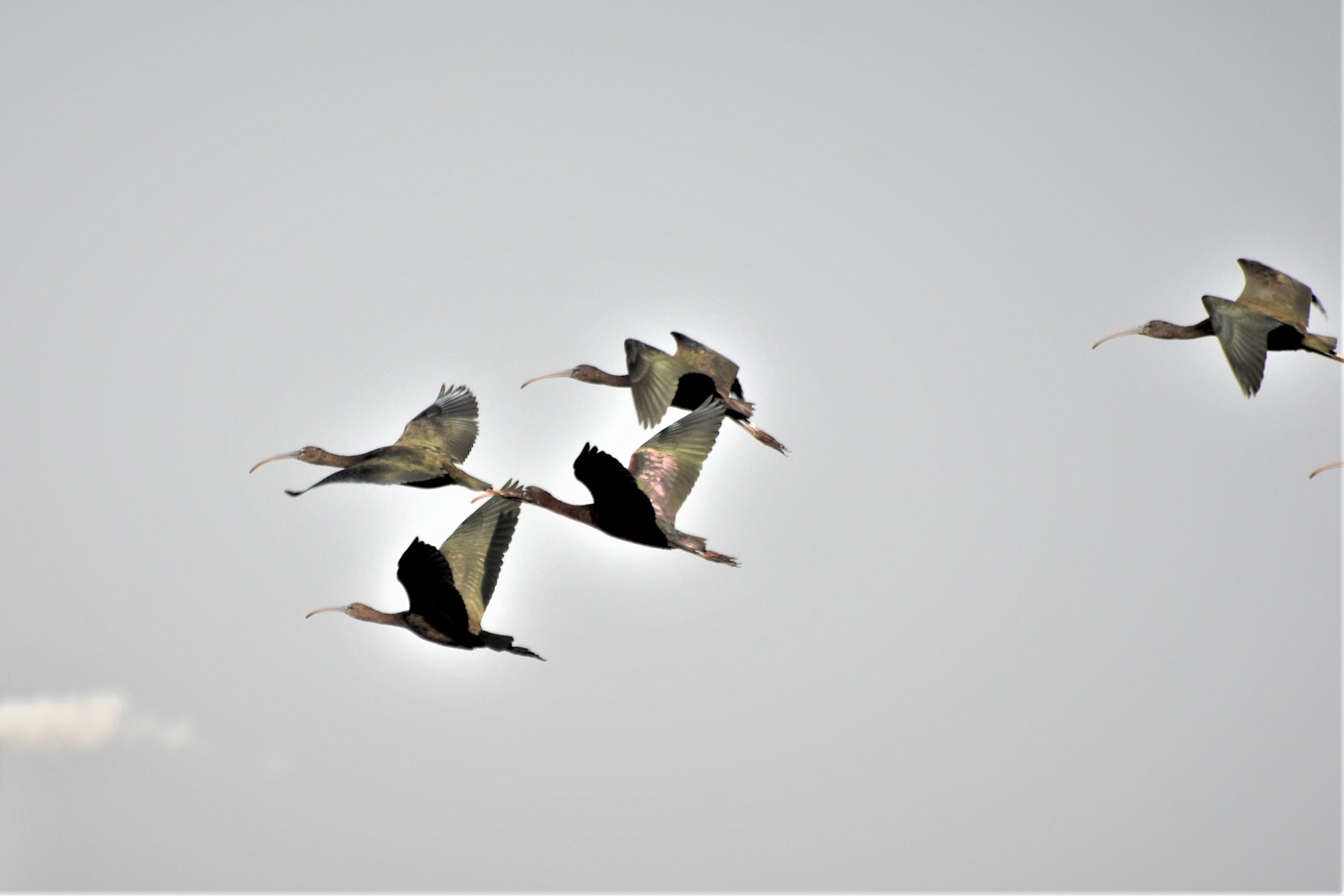 Nikon D7200 sample photo