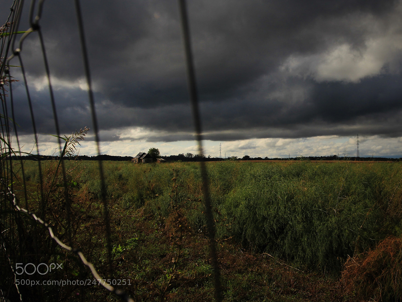 Canon EOS 700D (EOS Rebel T5i / EOS Kiss X7i) sample photo. Storm photography