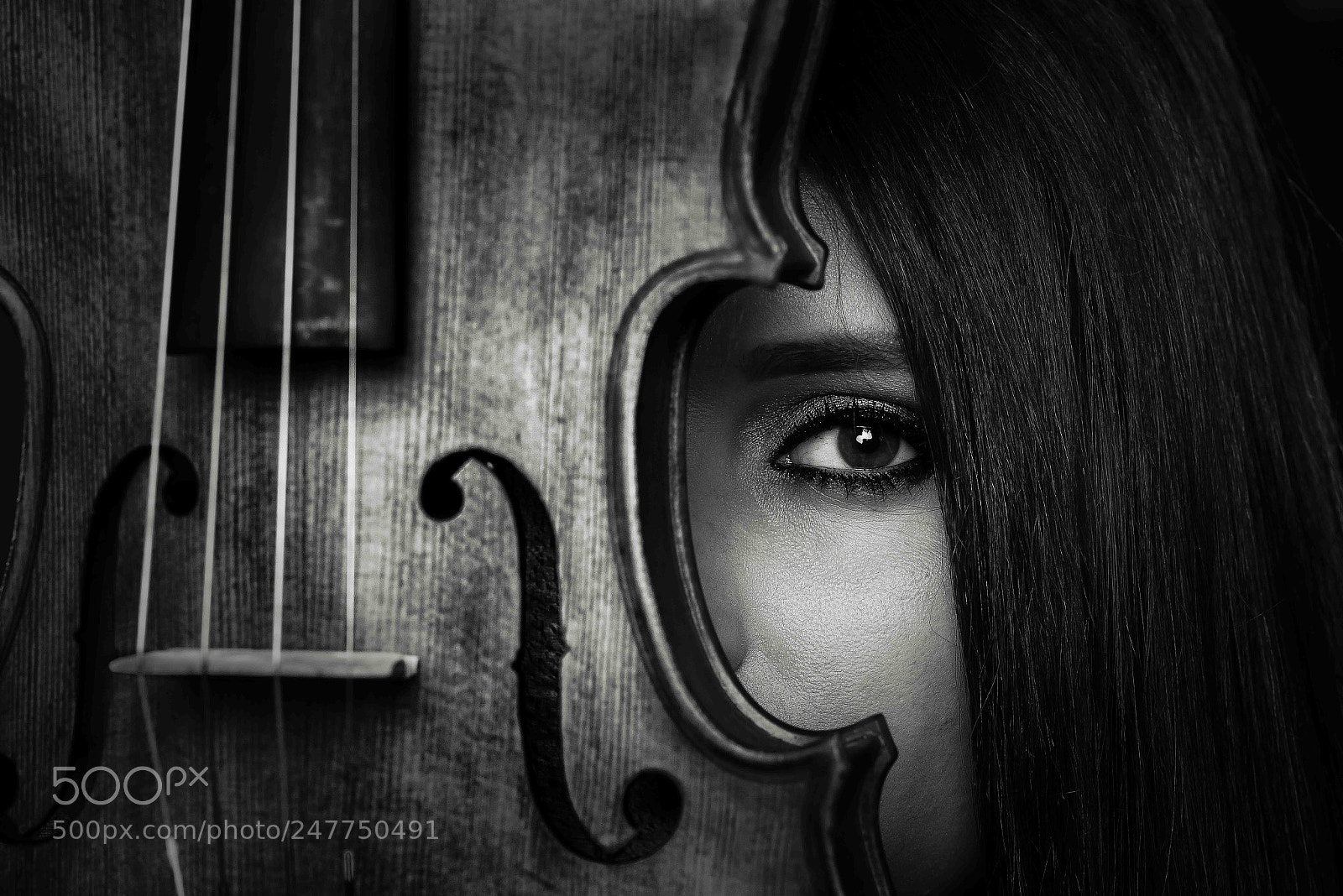 Nikon D800 sample photo. Violin girl photography