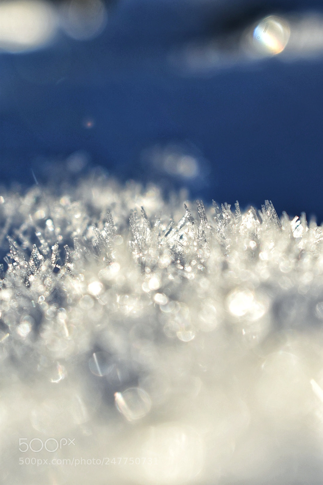 Nikon D3400 sample photo. Ice crystals photography