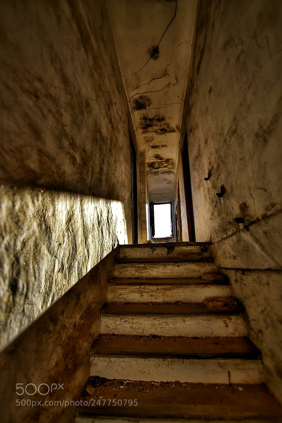 Nikon D5500 sample photo. Scream photography
