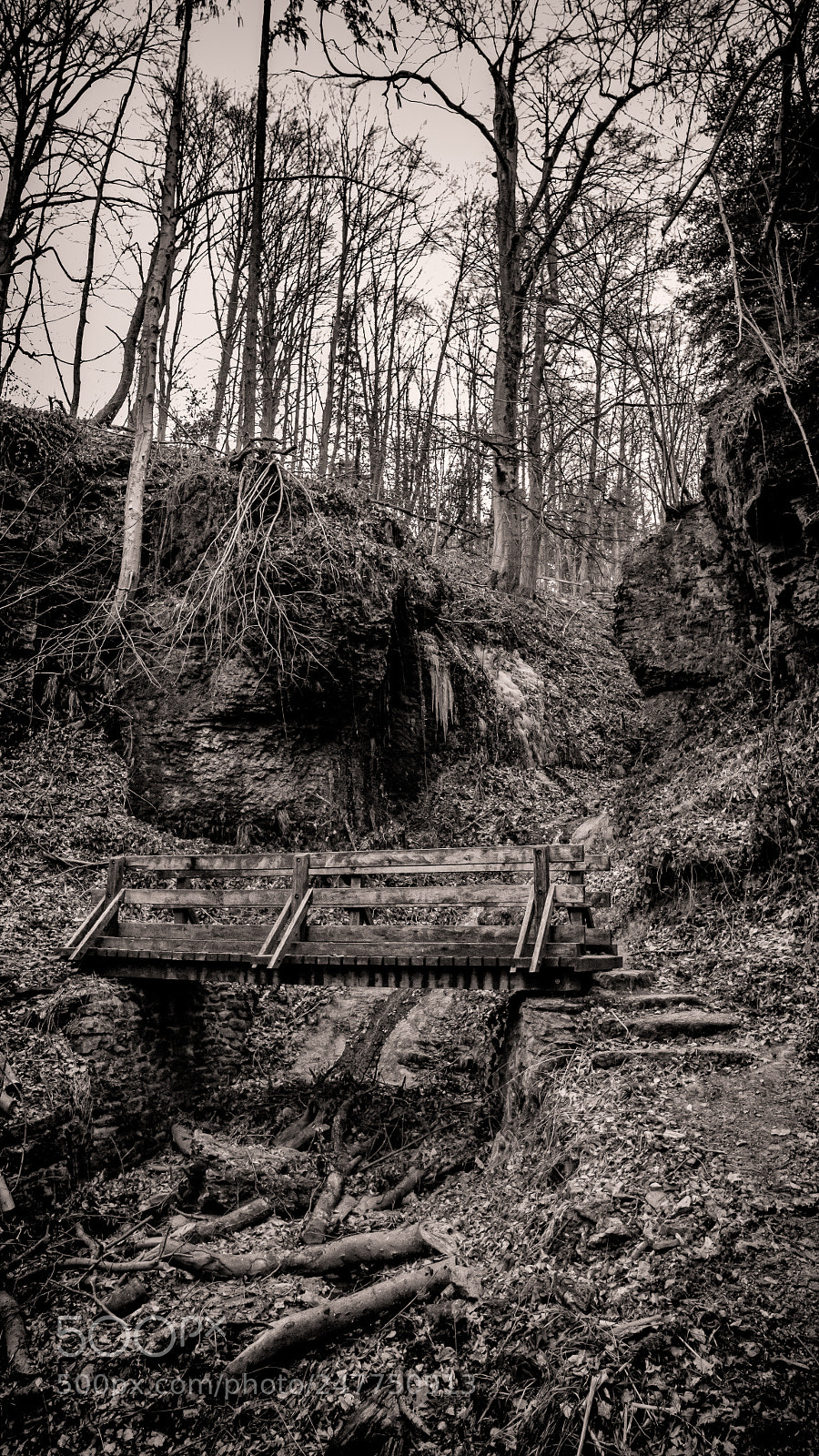 Canon EOS M3 sample photo. Wolf canyon photography