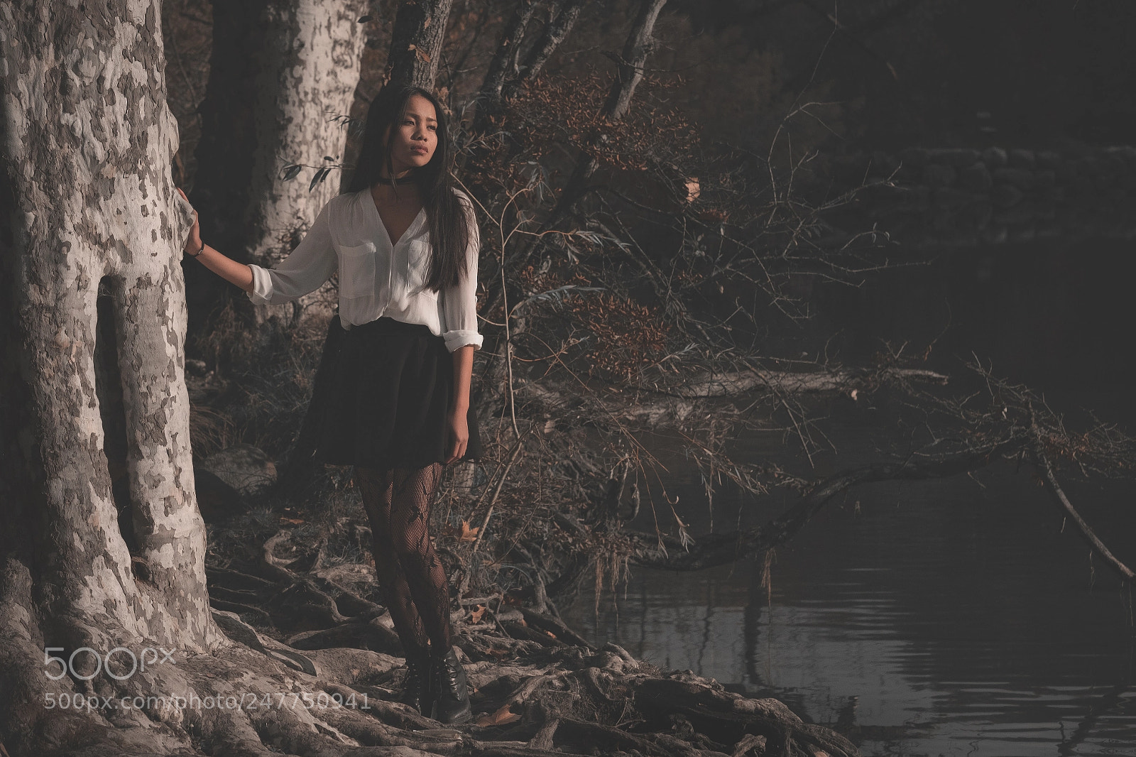 Fujifilm X-T2 sample photo. Dead forest photography