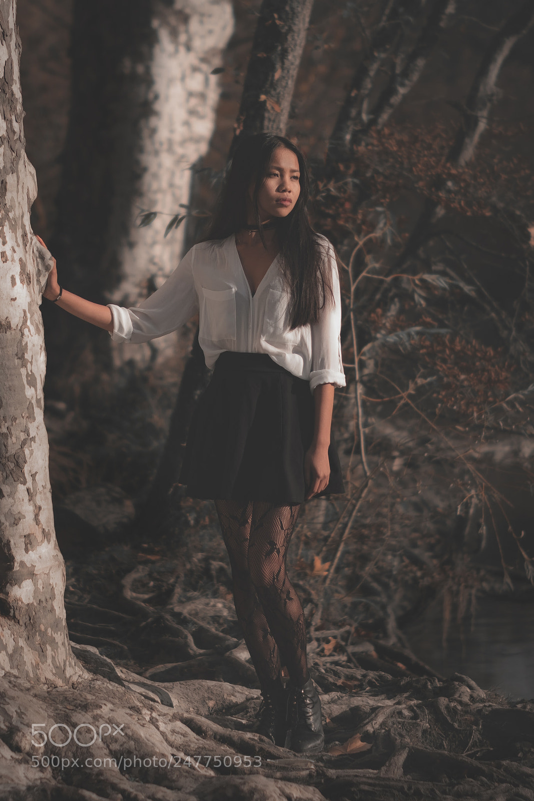 Fujifilm X-T2 sample photo. Dead forest photography