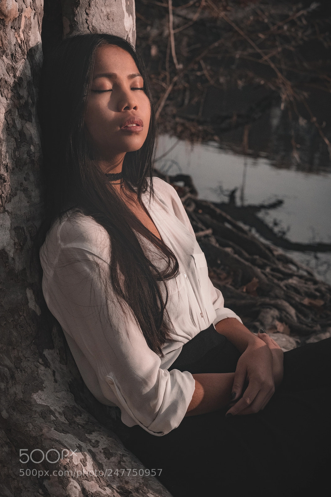 Fujifilm X-T2 sample photo. Lost in the woods photography