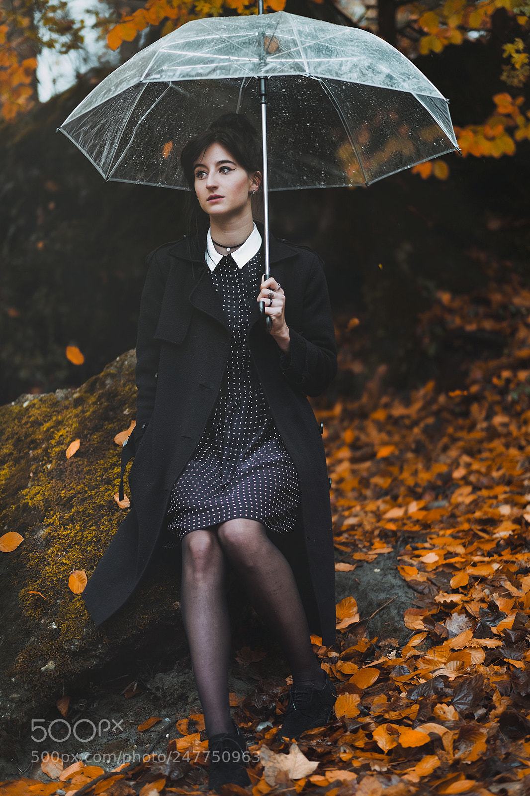 Fujifilm X-T2 sample photo. Lost in the woods photography