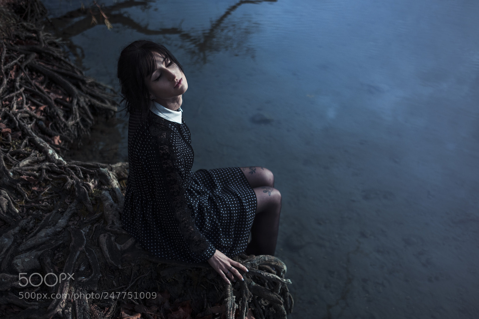 Fujifilm X-T2 sample photo. Lost in the woods photography
