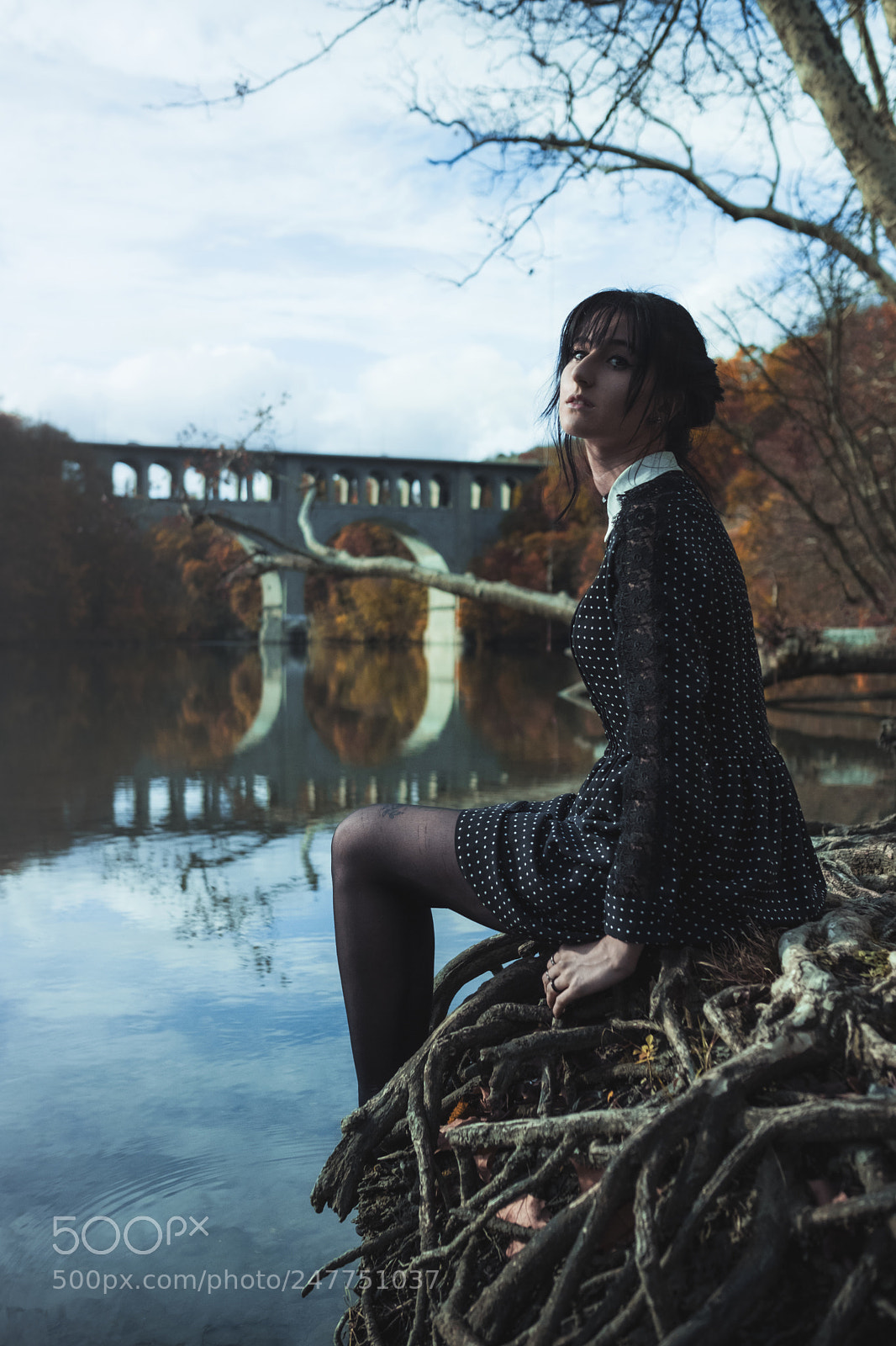 Fujifilm X-T2 sample photo. Lost in the woods photography