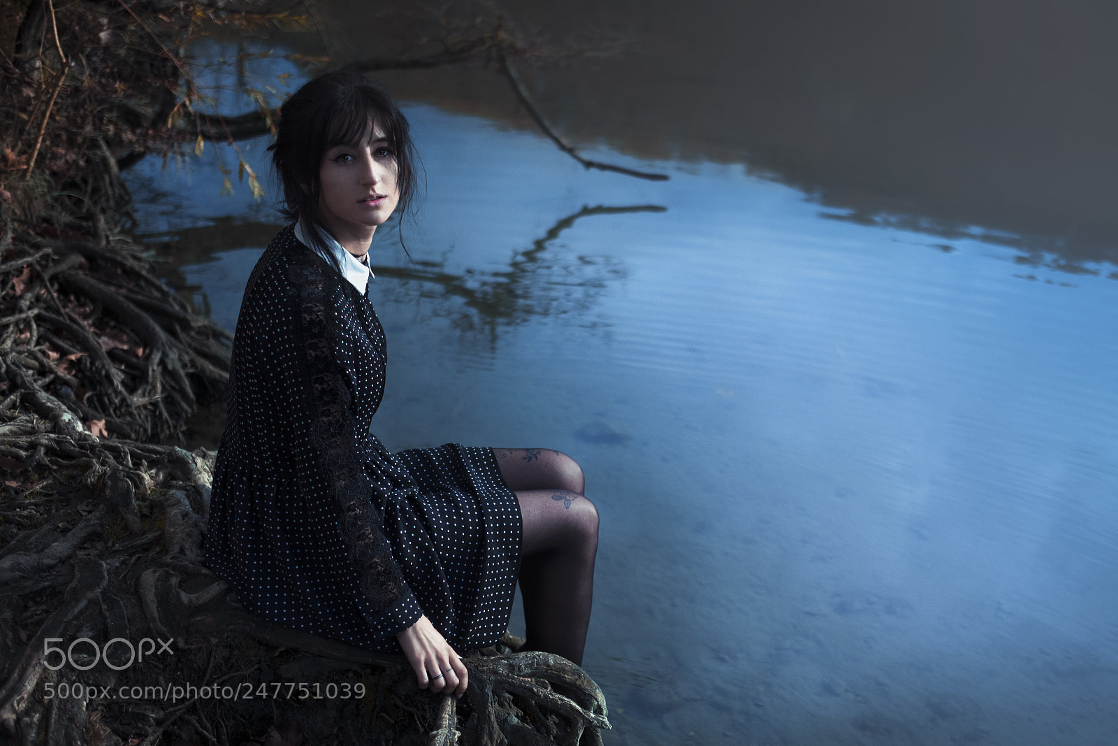 Fujifilm X-T2 sample photo. Lost in the woods photography