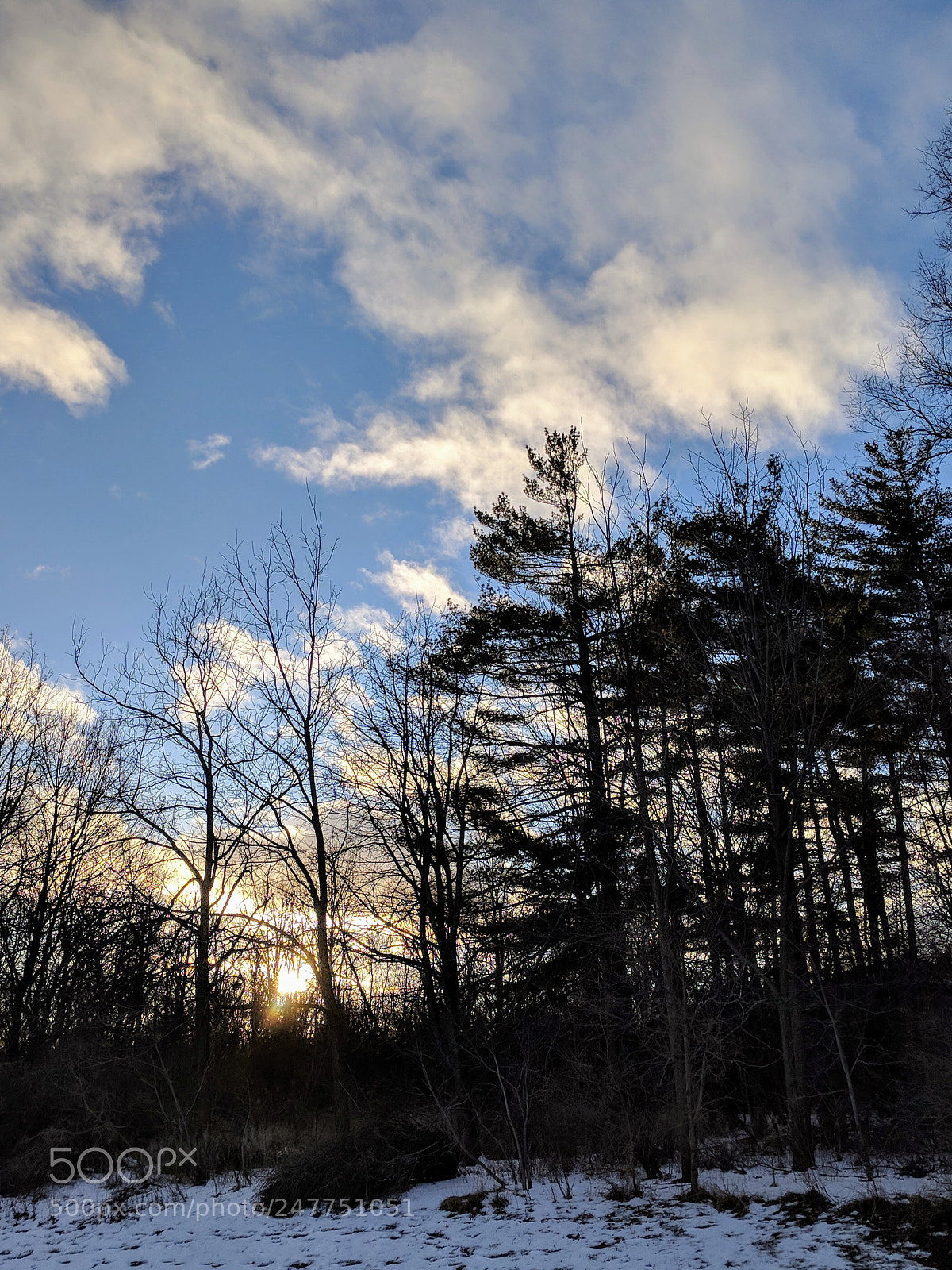 Google Pixel XL sample photo. Untitled photography