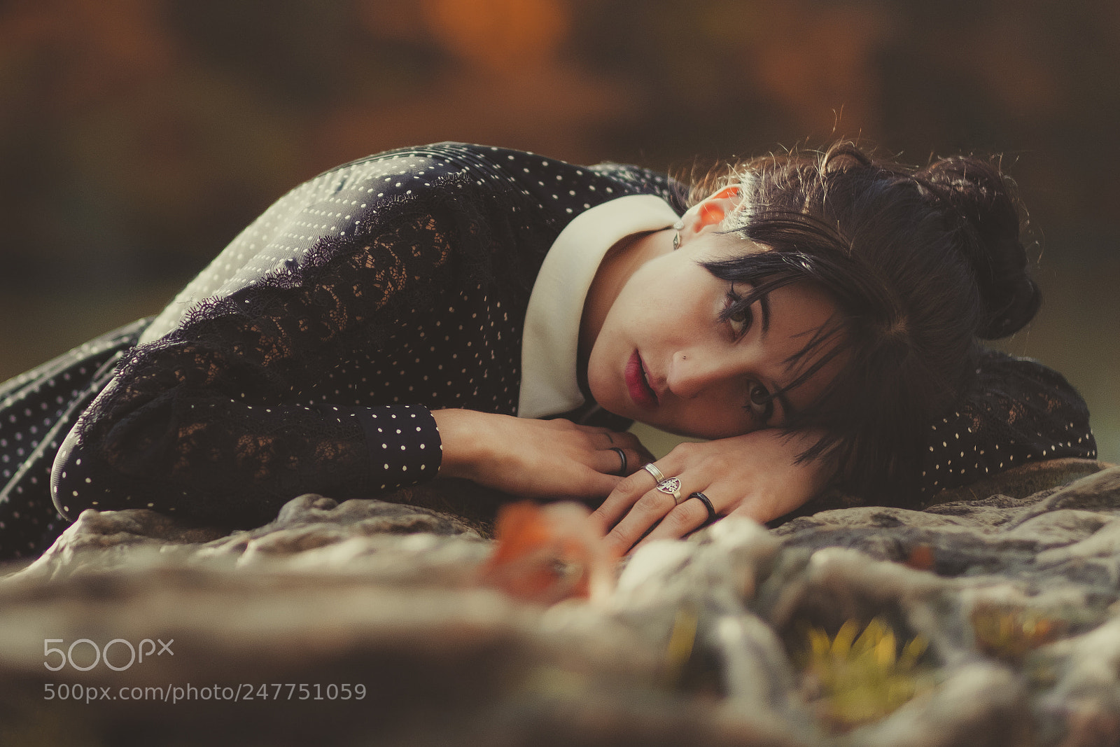 Fujifilm X-T2 sample photo. Lost in the woods photography