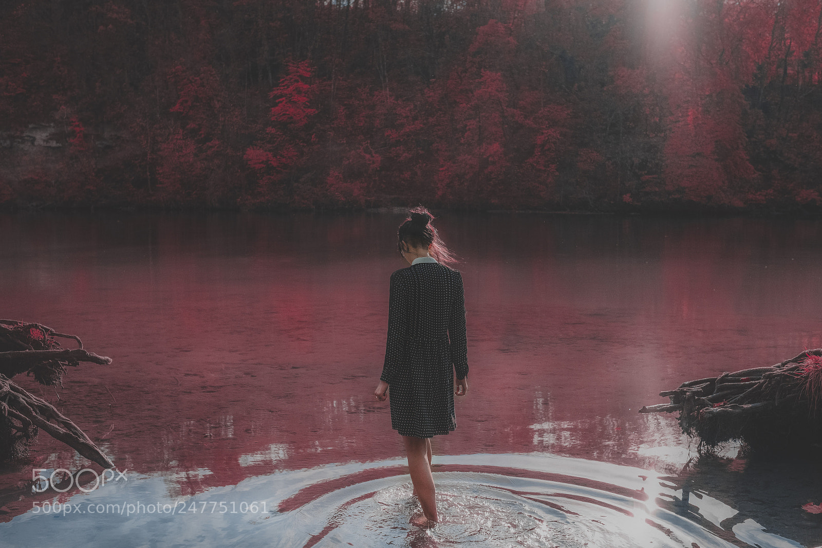 Fujifilm X-T2 sample photo. Lost in the woods photography