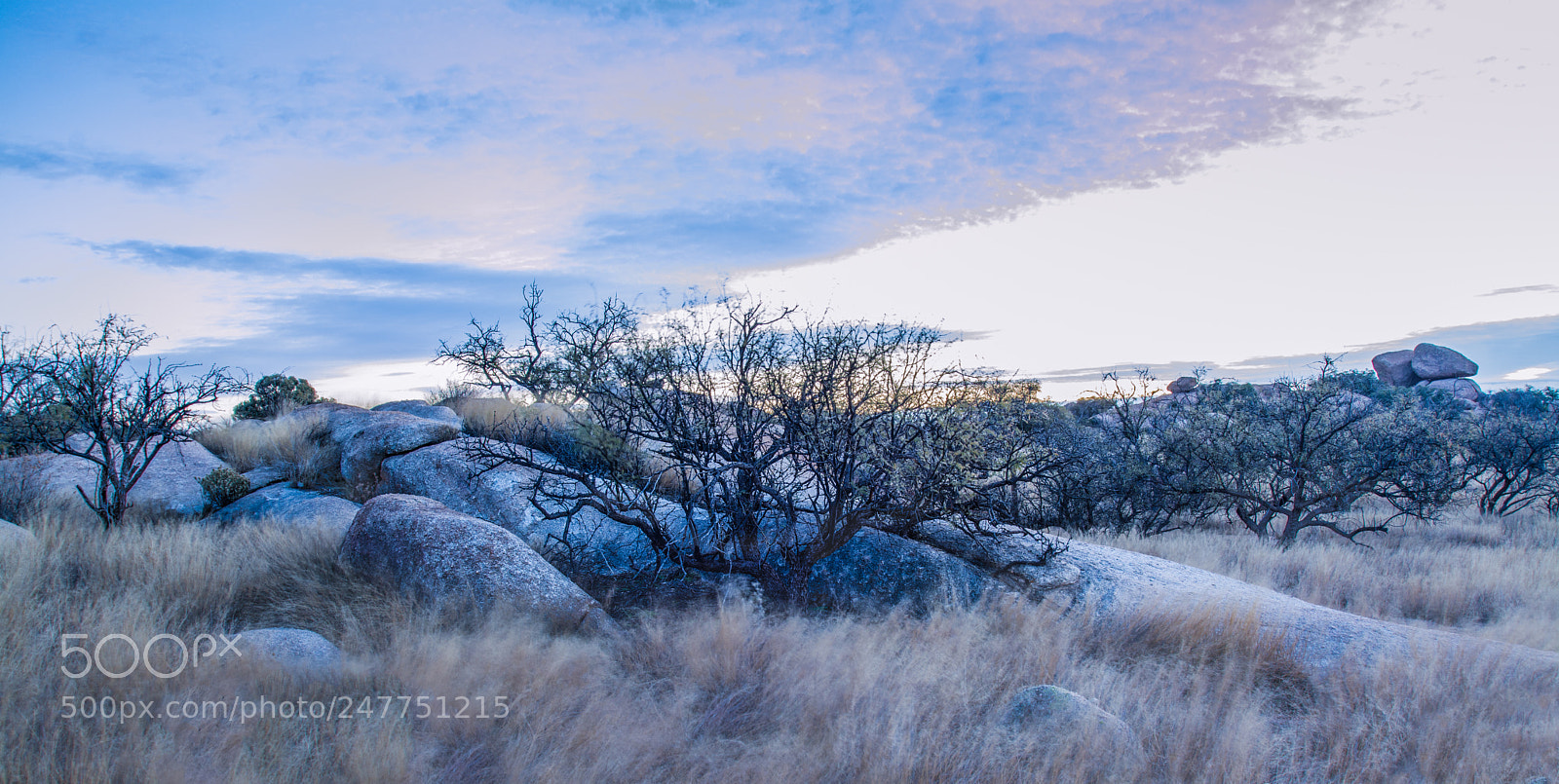 Nikon D7100 sample photo. Color before sunrise photography
