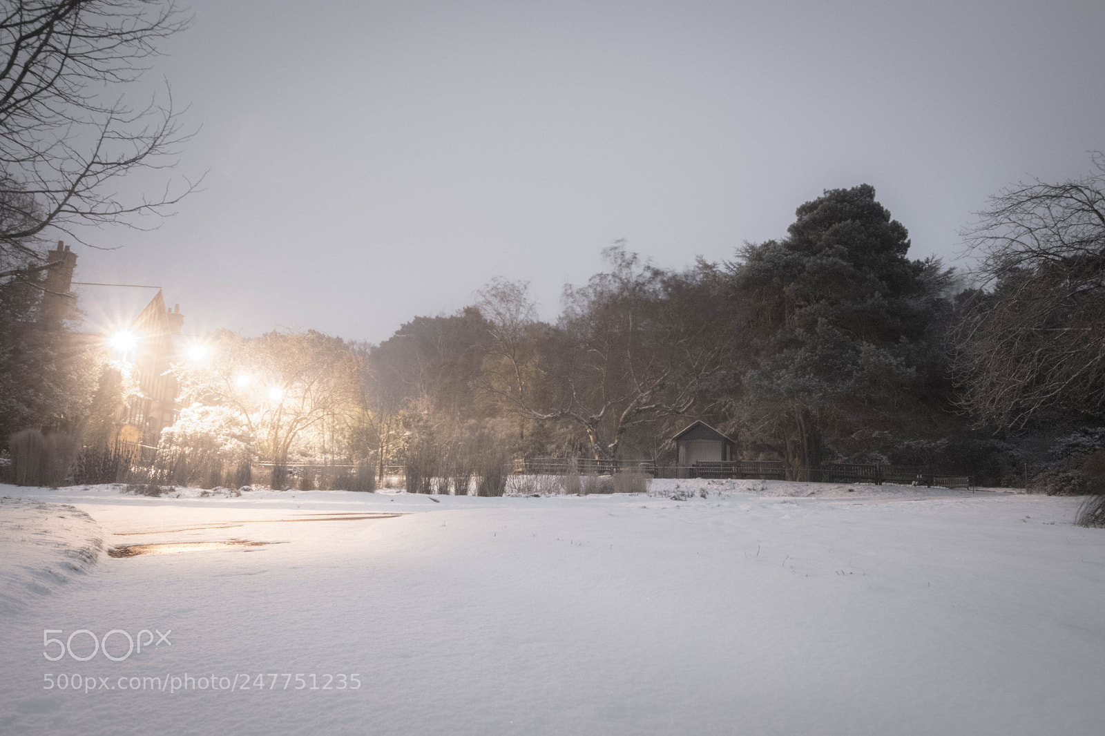 Pentax K-S2 sample photo. Winter garden photography
