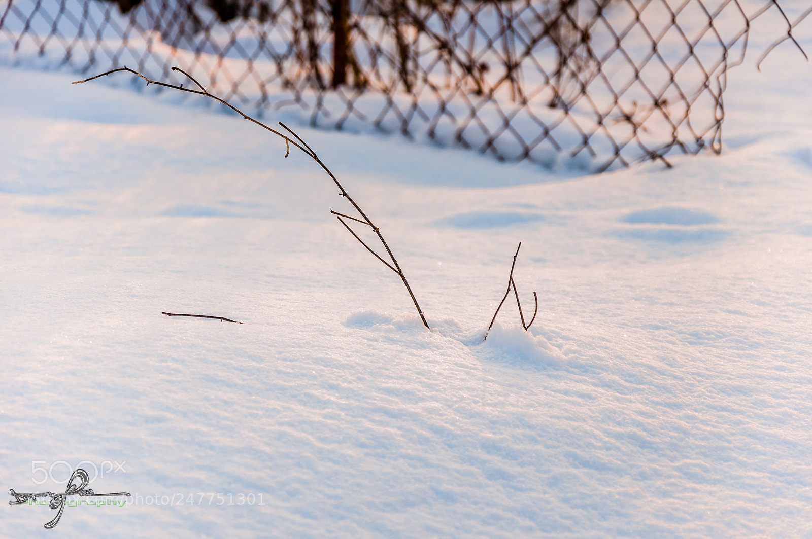Nikon D90 sample photo. Snow photography