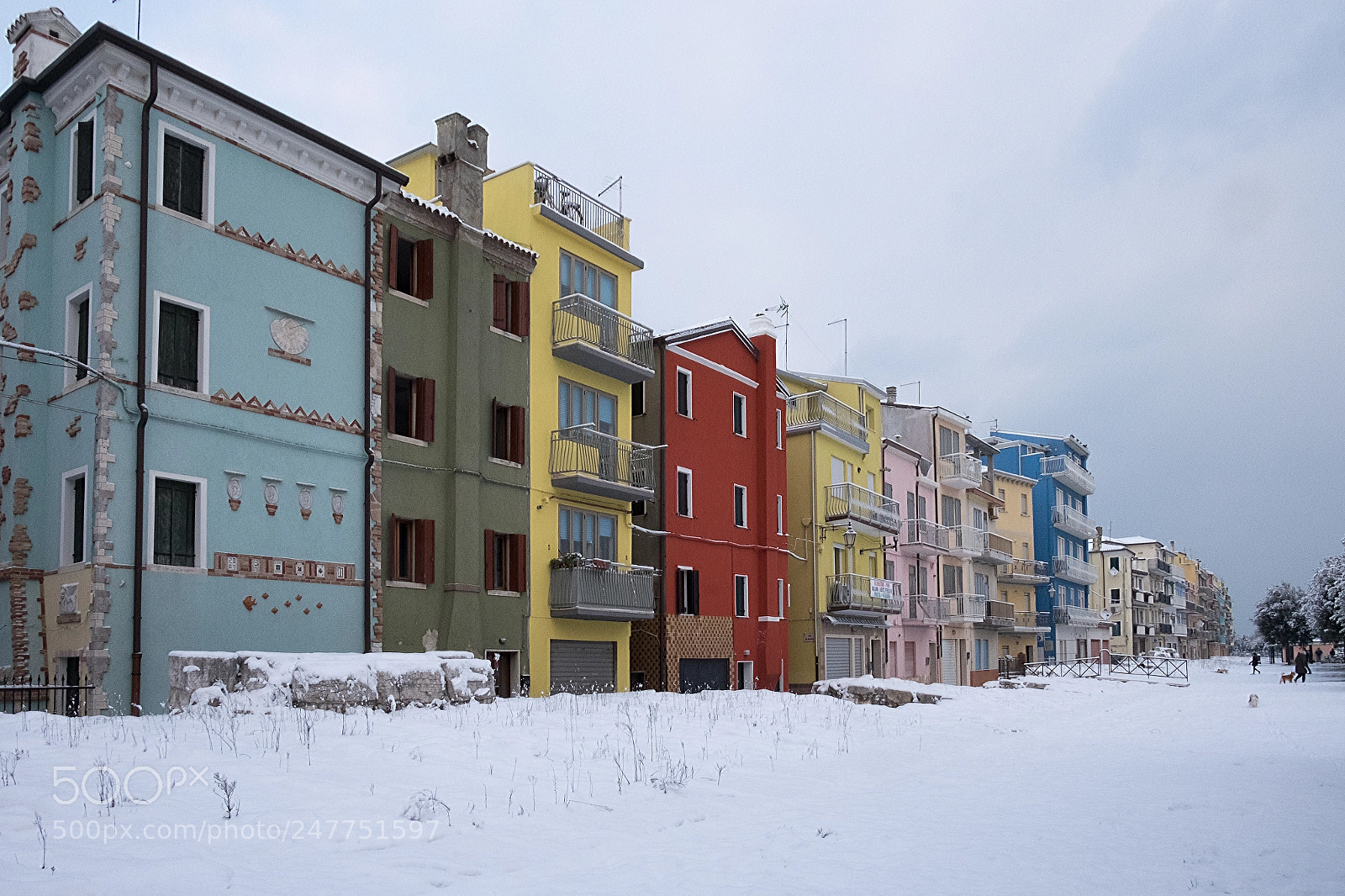 Fujifilm X-E2 sample photo. Colore sulla neve photography
