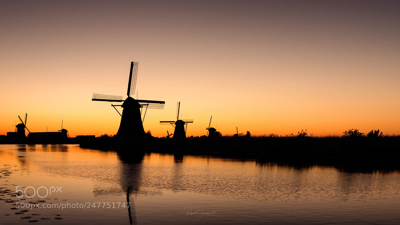 Nikon D810 sample photo. Windmills photography