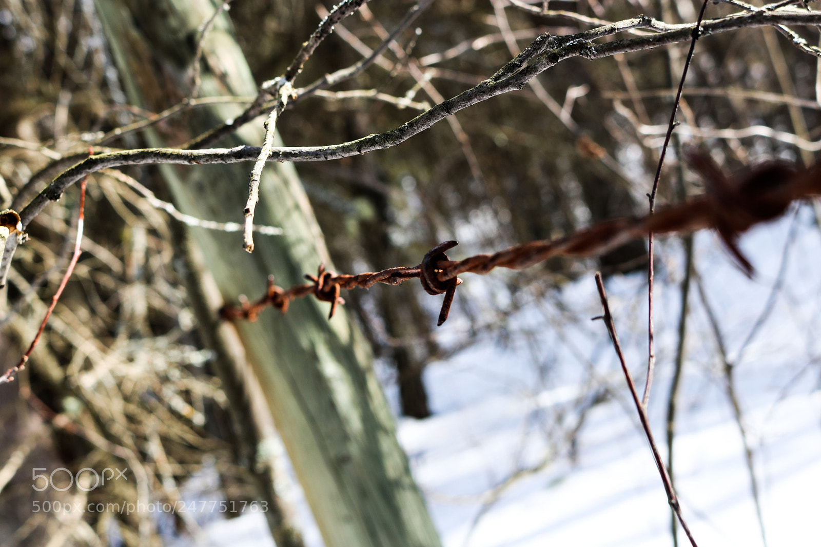 Canon EOS 750D (EOS Rebel T6i / EOS Kiss X8i) sample photo. Editimg photography