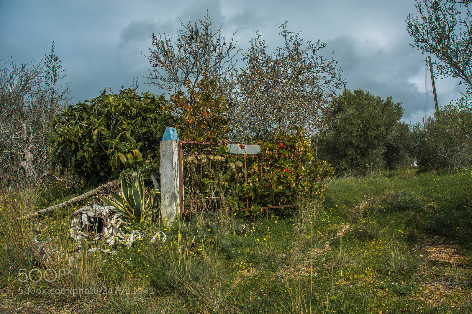Nikon D5200 sample photo. Broken gate photography