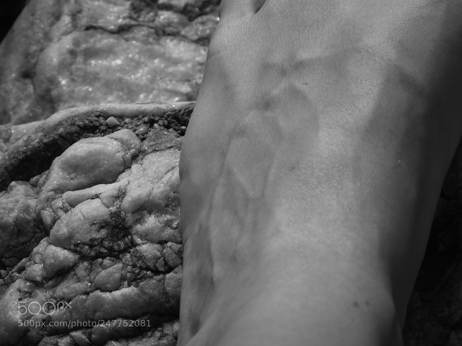 Sony Cyber-shot DSC-HX300 sample photo. Veins photography