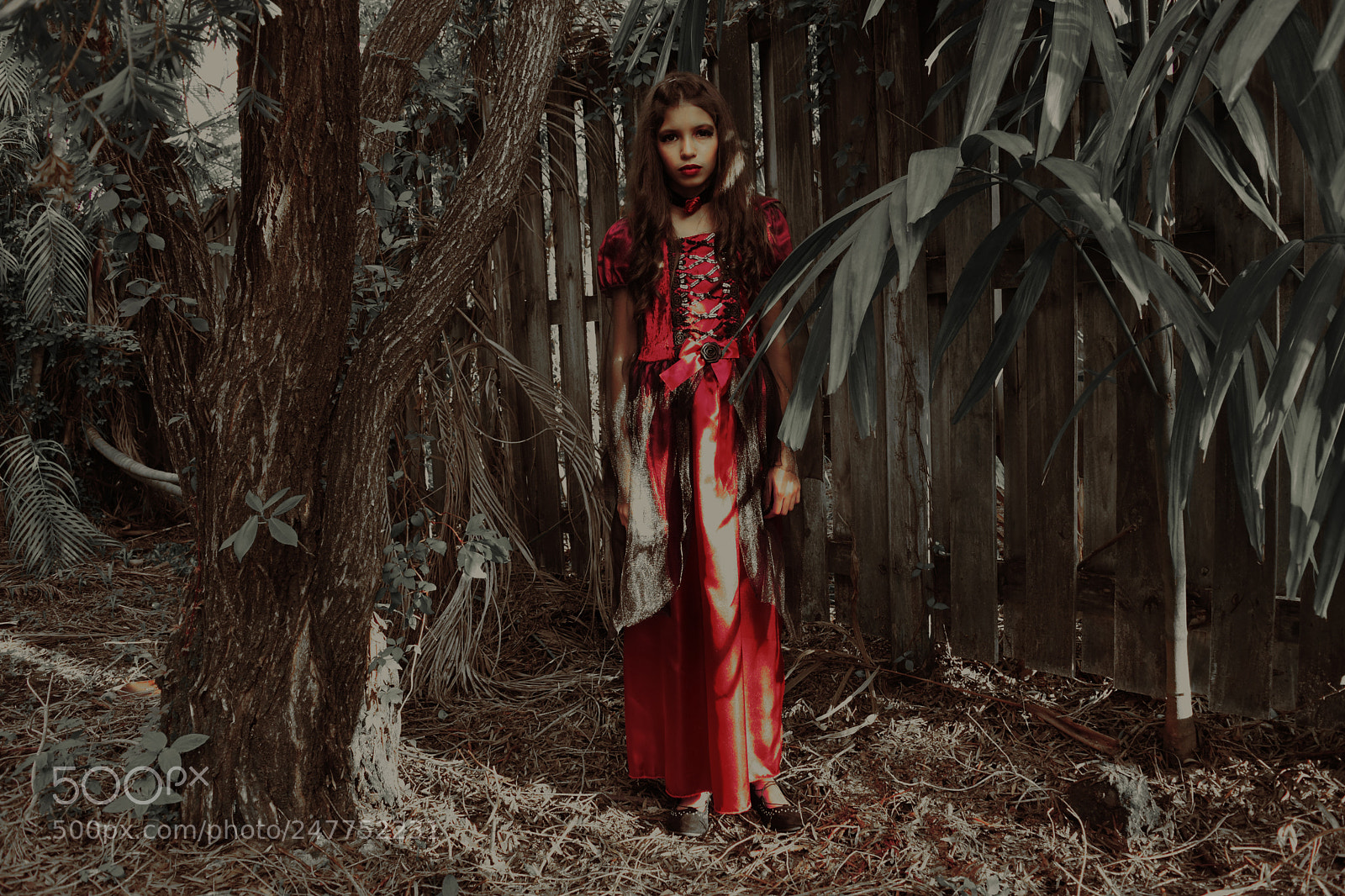 Nikon D5500 sample photo. Halloween ll photography
