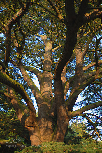Nikon D200 sample photo. Nd photography