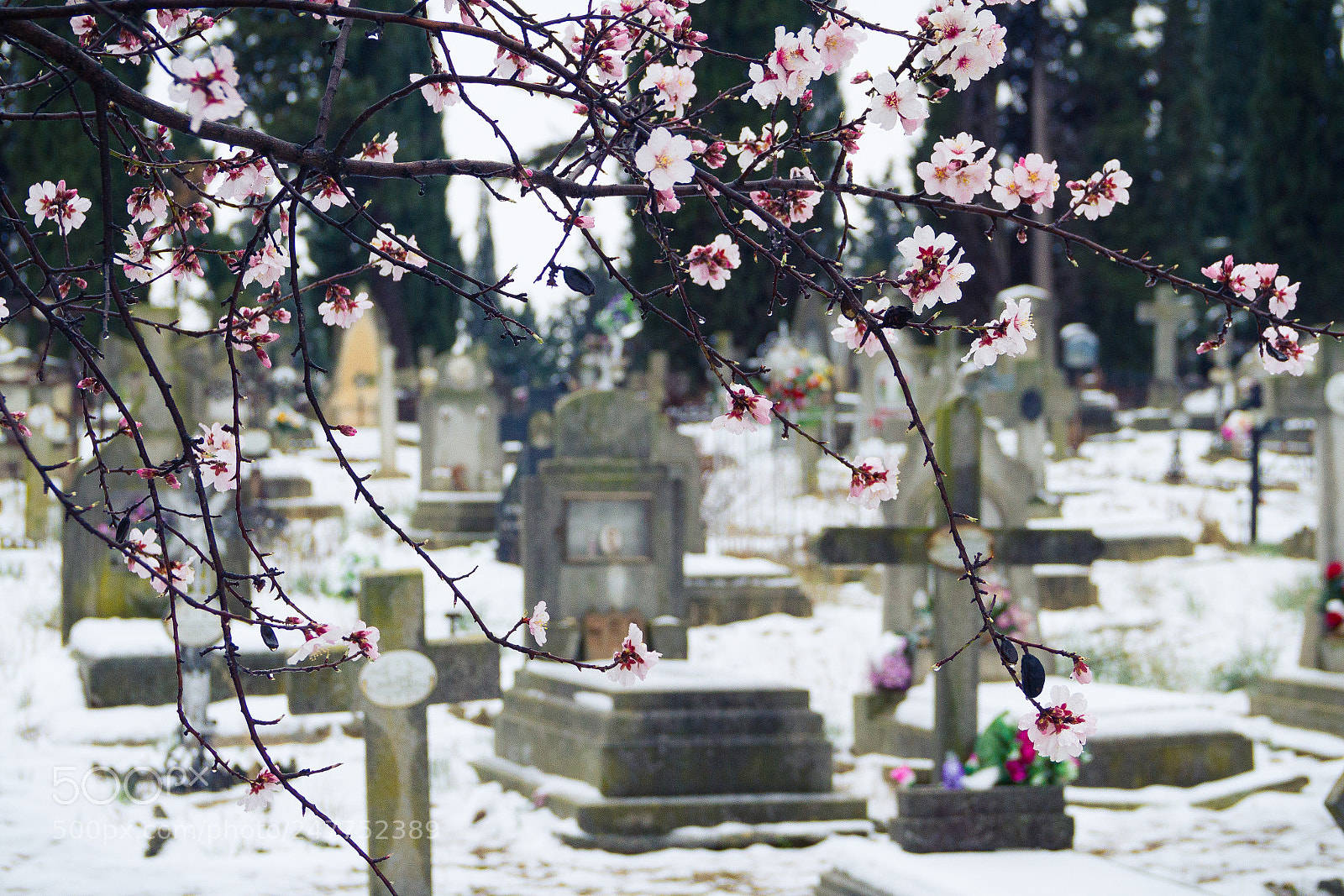 Canon EOS 7D sample photo. Untitled photography