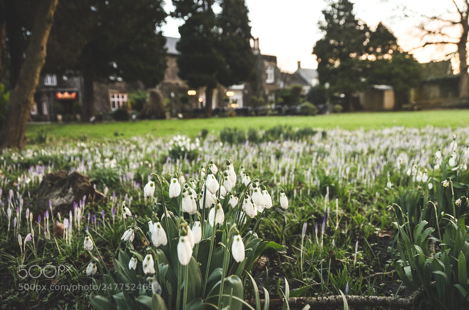 Nikon D5100 sample photo. Caerleon-wales - the priory photography