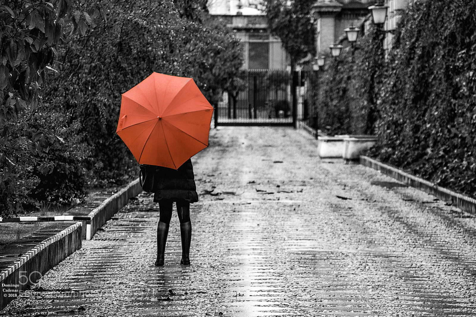 Olympus OM-D E-M10 II sample photo. Rojo - red photography